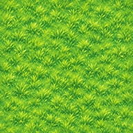 Herbe claire